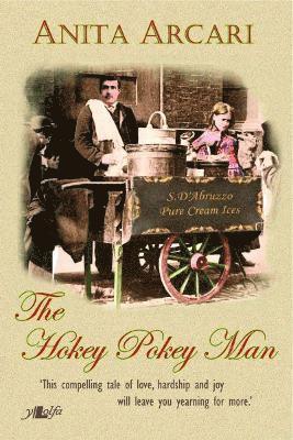 bokomslag Hokey Pokey Man, The