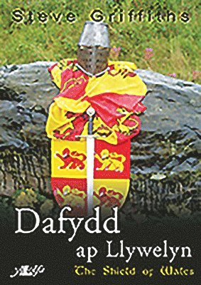 bokomslag Dafydd Ap Llywelyn - The Shield of Wales