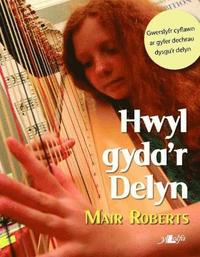 bokomslag Hwyl Gyda'r Delyn