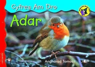 Angharad Tomos - Cyfres am Dro: 3. Adar, Häftad