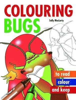 bokomslag Colouring Bugs