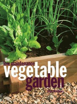 Low-Maintenance Vegetable Garden 1