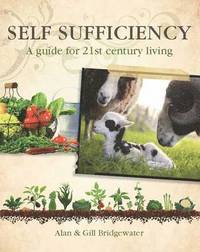 bokomslag Self-sufficiency