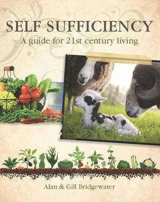Self-sufficiency 1