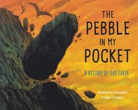 bokomslag The Pebble in My Pocket