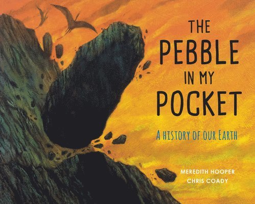 Meredith Hooper, Lisbeth Kaiser - Pebble in My Pocket, Häftad