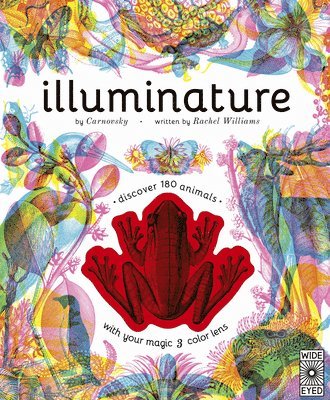 Rachel Williams - Illuminature, Inbunden