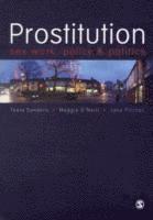 Teela Sanders, Maggie O'Neill, Jane Pitcher - Prostitution, Häftad