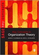 bokomslag Key Concepts in Organization Theory