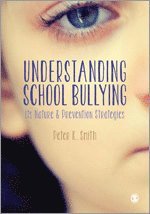 bokomslag Understanding School Bullying