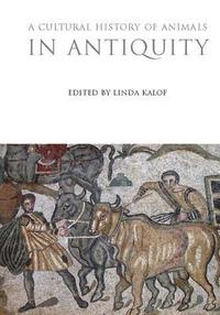 bokomslag A Cultural History of Animals in Antiquity