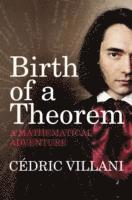 bokomslag Birth of a Theorem
