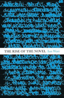bokomslag The Rise Of The Novel