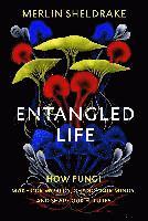 bokomslag Entangled Life: How Fungi Make Our Worlds, Change Our Minds and Shape Our Futures