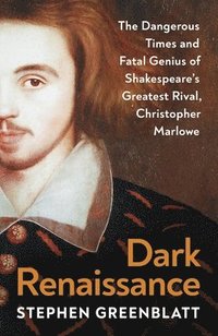 bokomslag Dark Renaissance