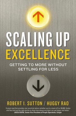 bokomslag Scaling up Excellence