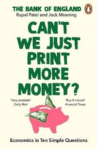 bokomslag Cant We Just Print More Money?