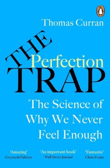 The Perfection Trap 1