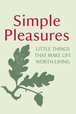 Simple Pleasures : Little Things That Make Life Worth Living