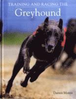 Training and Racing the Greyhound 1