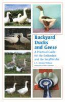 bokomslag Backyard Ducks and Geese