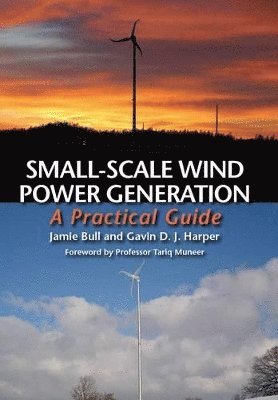 Small-Scale Wind Power Generation 1