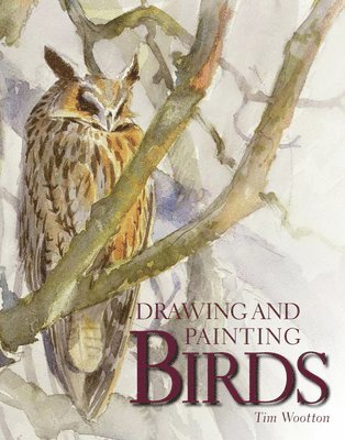 Drawing and Painting Birds 1