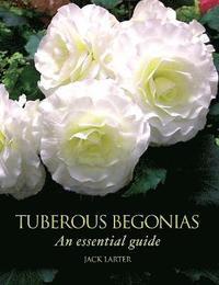 bokomslag Tuberous Begonias