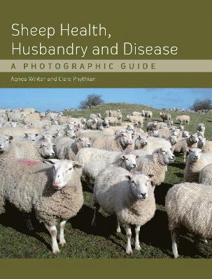 Sheep Health, Husbandry and Disease 1