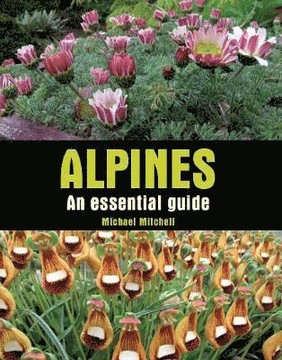 Alpines 1