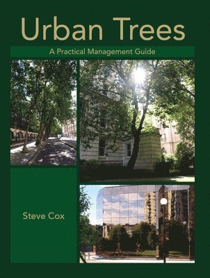 Urban Trees 1