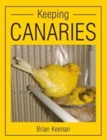 bokomslag Keeping Canaries