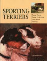 bokomslag Sporting Terriers