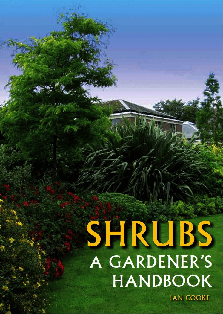 Shrubs