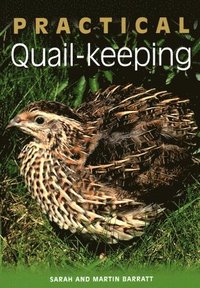 bokomslag Practical Quail-keeping