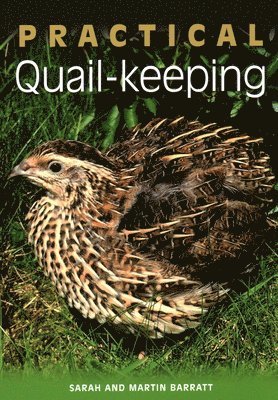 bokomslag Practical Quail-keeping