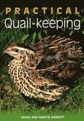 Practical Quail-keeping 1