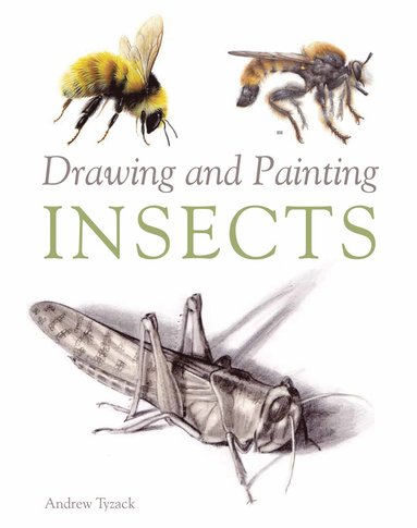 bokomslag Drawing and Painting Insects