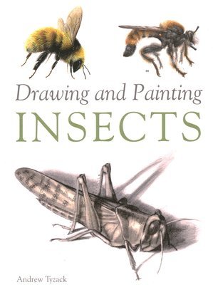 Drawing and Painting Insects 1