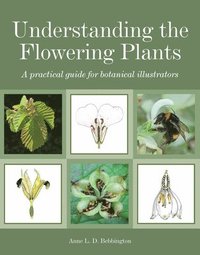 bokomslag Understanding the Flowering Plants