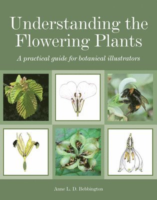 Understanding the Flowering Plants 1