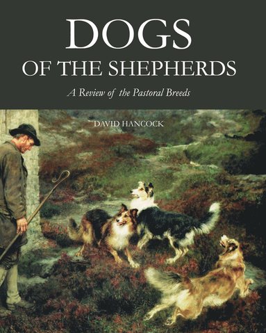bokomslag Dogs of the Shepherds