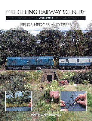 Modelling Railway Scenery: Fields, Hedges and Trees