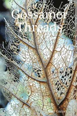 Gossamer Threads 1