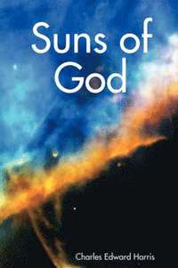 bokomslag Suns of God