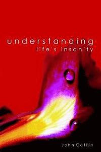 bokomslag Understanding Life's Insanity