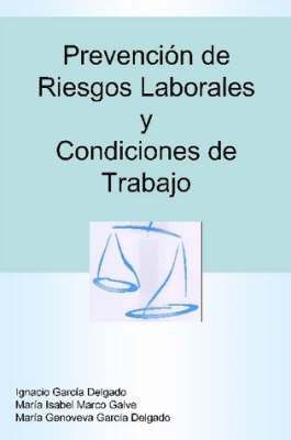 bokomslag Prevencion De Riesgos Laborales Y Condiciones De Trabajo