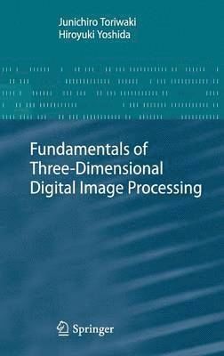 bokomslag Fundamentals Of Three-Dimensional Digital Image Processing