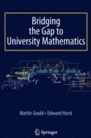 bokomslag Bridging the Gap to University Mathematics