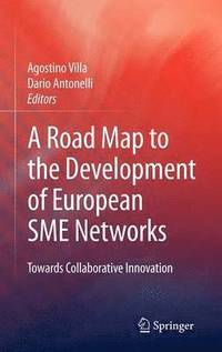 bokomslag A Road Map to the Development of European SME Networks